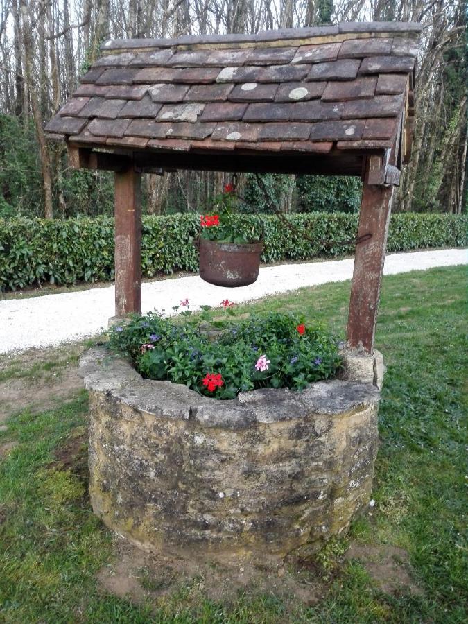 Le Chalet Douillet Saint-Genies エクステリア 写真